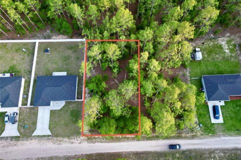 Land in Ocala, Florida № 2165609 - photo 3