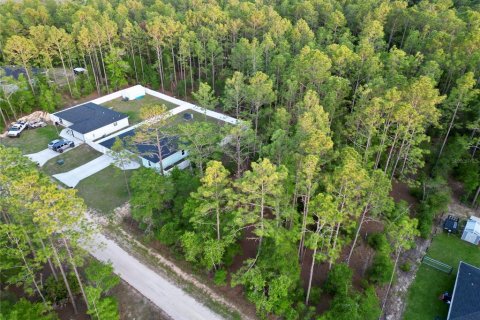 Land in Ocala, Florida № 2165609 - photo 5