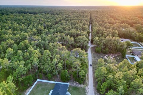 Land in Ocala, Florida № 2165609 - photo 4