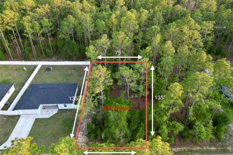 Land in Ocala, Florida № 2165609