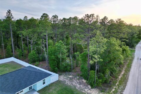 Land in Ocala, Florida № 2165609 - photo 6