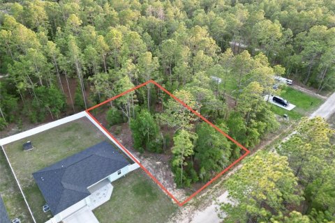 Land in Ocala, Florida № 2165609 - photo 2