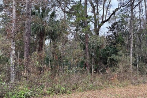 Land in Weeki Wachee, Florida № 2159030 - photo 3