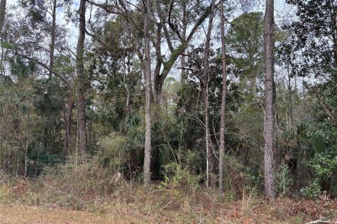 Land in Weeki Wachee, Florida № 2159030 - photo 4