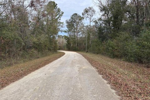 Land in Weeki Wachee, Florida № 2159030 - photo 5