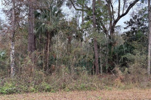 Land in Weeki Wachee, Florida № 2159030 - photo 2