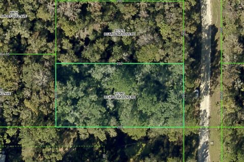 Land in Weeki Wachee, Florida № 2159030