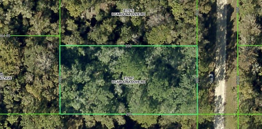Land in Weeki Wachee, Florida № 2159030