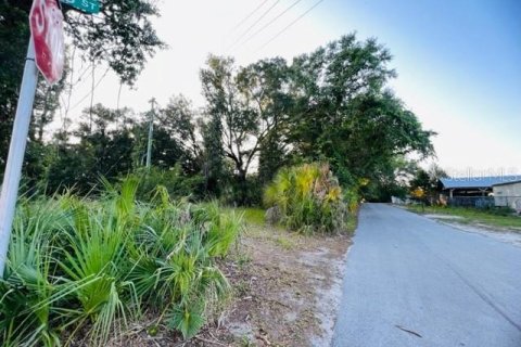 Commercial property in Bell, Florida 154.22 sq.m. № 1616638 - photo 14