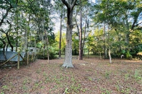 Commercial property in Bell, Florida 154.22 sq.m. № 1616638 - photo 11