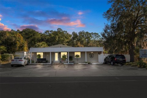 Propiedad comercial en Inverness, Florida 194.17 m2 № 2104418