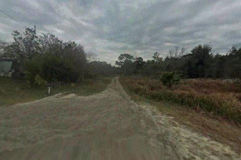 Land in Spring Hill, Florida № 1718867 - photo 5