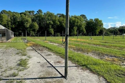 Propiedad comercial en venta en Loxahatchee Groves, Florida № 1964193 - foto 11