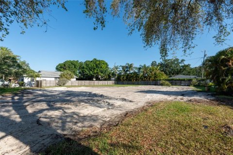 Land in Saint Petersburg, Florida № 1723781 - photo 2