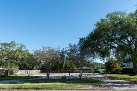 Land in Saint Petersburg, Florida № 1723781 - photo 1