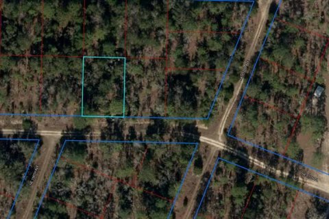 Land in Williston, Florida № 2165269 - photo 3