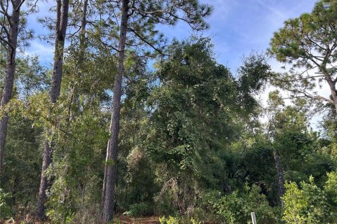 Land in Williston, Florida № 2165269