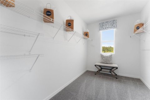 Casa en alquiler en Land O' Lakes, Florida, 4 dormitorios, 214.14 m2 № 2196108 - foto 25