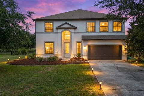 Villa ou maison à Eustis, Floride 5 chambres, 339.09 m2 № 2148781