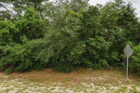 Land in Ocala, Florida № 2391596