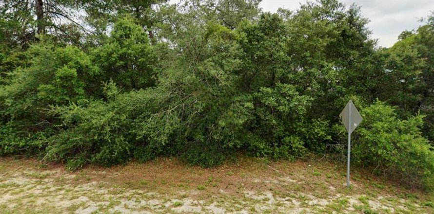 Land in Ocala, Florida № 2391596