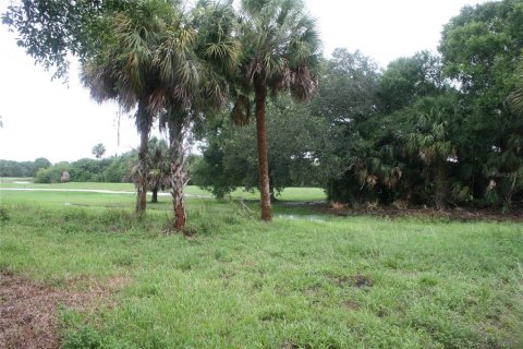 Land in Rotonda, Florida № 1578997 - photo 3