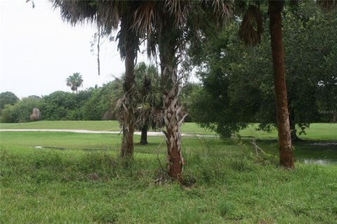 Land in Rotonda, Florida № 1578997 - photo 2