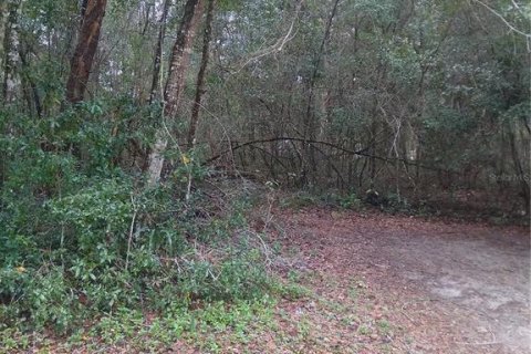 Land in Silver Springs Shores, Florida № 2160148