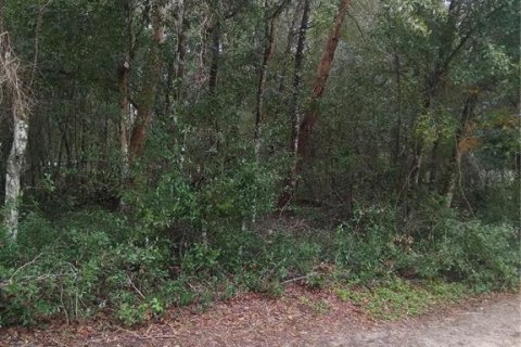 Land in Silver Springs Shores, Florida № 2160148 - photo 3