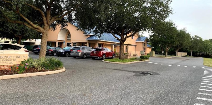 Commercial property in Mount Dora, Florida 665.09 sq.m. № 1817308
