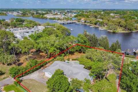House in Tarpon Springs, Florida 3 bedrooms, 264.4 sq.m. № 2239705 - photo 3