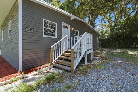 Villa ou maison à vendre à Zephyrhills, Floride: 2 chambres, 95.22 m2 № 2229113 - photo 2