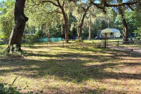 Terrain à Citra, Floride № 2111879