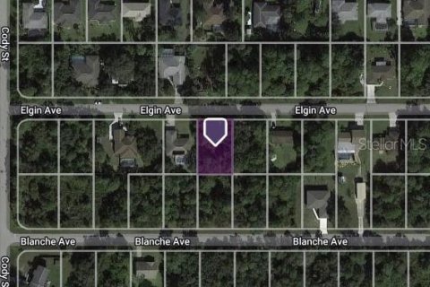 Land in Port Charlotte, Florida № 2159291 - photo 2