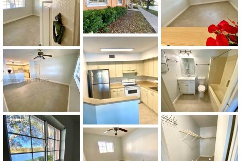 Appartement à louer à Hollywood, Floride: 1 chambre, 61.22 m2 № 1988401 - photo 19