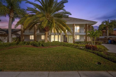 Villa ou maison à Tampa, Floride 5 chambres, 393.35 m2 № 2342715