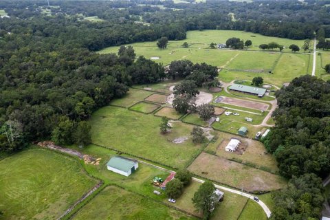 Villa ou maison à vendre à Ocala, Floride: 4 chambres, 260.96 m2 № 1373719 - photo 10