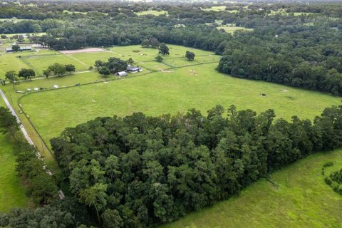 Villa ou maison à vendre à Ocala, Floride: 4 chambres, 260.96 m2 № 1373719 - photo 21