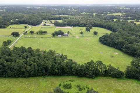 Villa ou maison à vendre à Ocala, Floride: 4 chambres, 260.96 m2 № 1373719 - photo 22