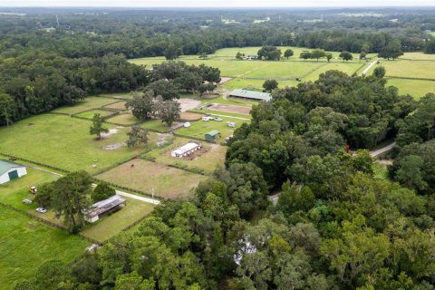 Villa ou maison à vendre à Ocala, Floride: 4 chambres, 260.96 m2 № 1373719 - photo 5