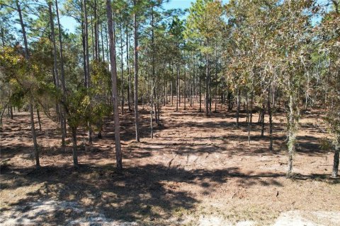 Terrain à vendre à Archer, Floride № 2091895 - photo 5