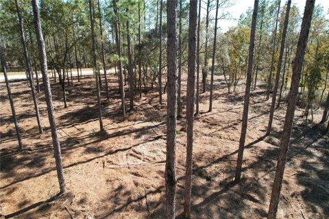 Terrain à vendre à Archer, Floride № 2091895 - photo 6