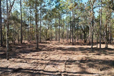 Terrain à Archer, Floride № 2091895