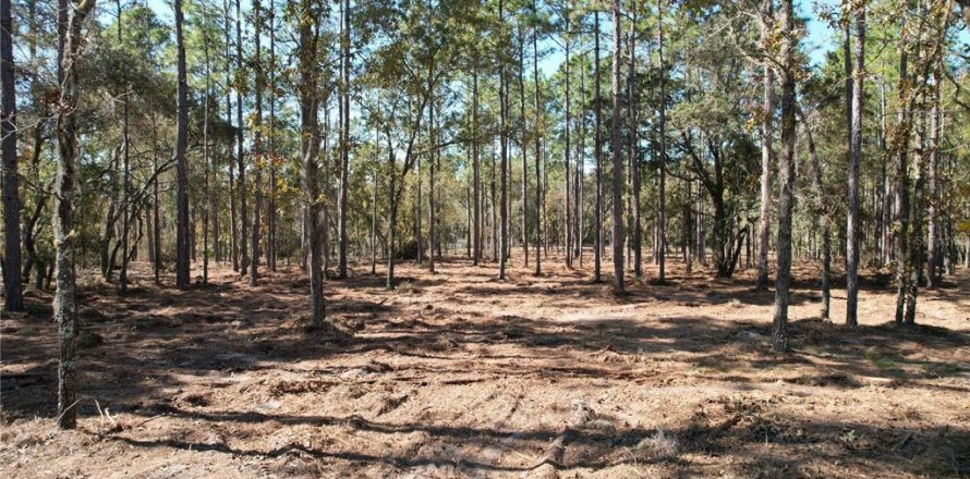 Terrain à Archer, Floride № 2091895