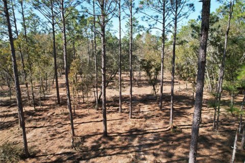 Terrain à vendre à Archer, Floride № 2091895 - photo 3