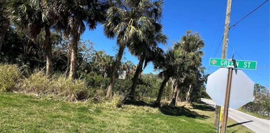 Terrain à Port Richey, Floride № 1719954