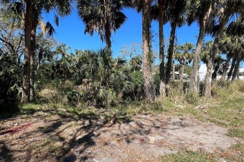 Terrain à vendre à Port Richey, Floride № 1719954 - photo 11