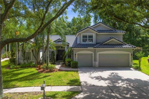 House in Tampa, Florida 4 bedrooms, 280.01 sq.m. № 2116916