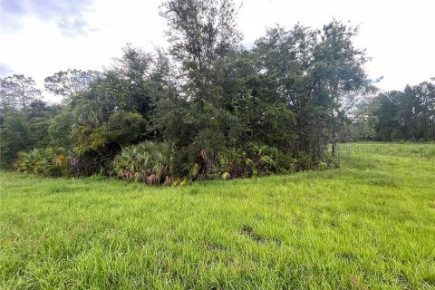 Terrain à vendre à Palatka, Floride № 2214265 - photo 4