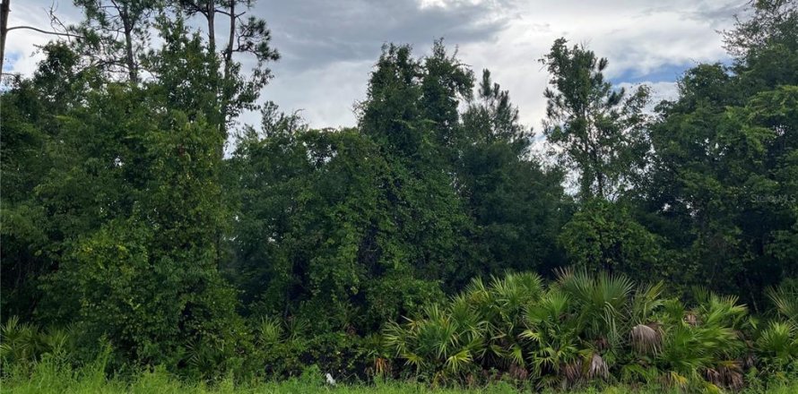 Terrain à Palatka, Floride № 2214265